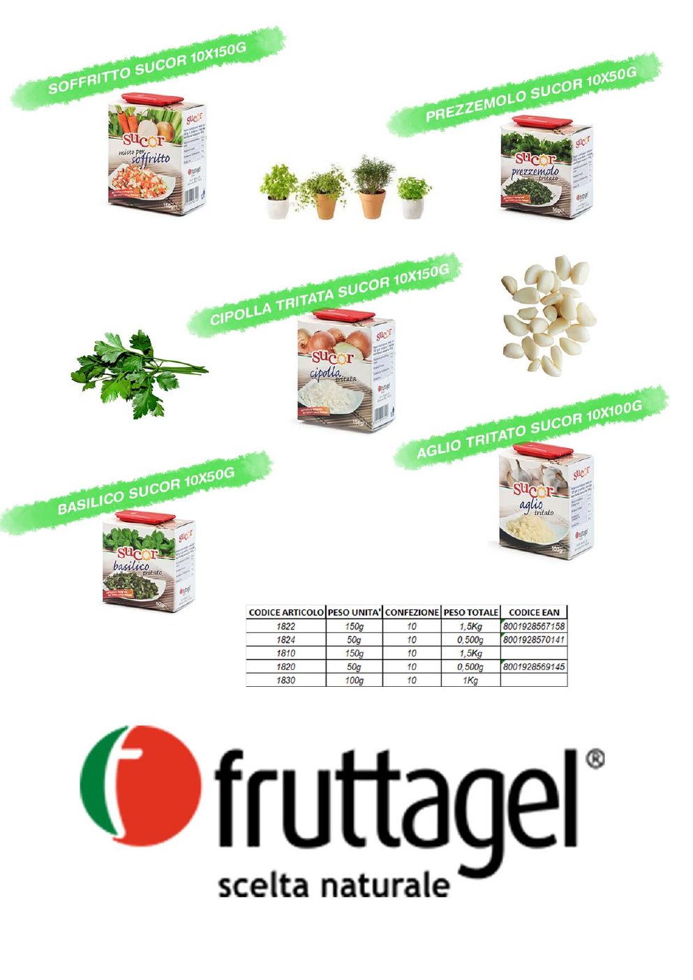 Catalogo Barpag - pagina 8