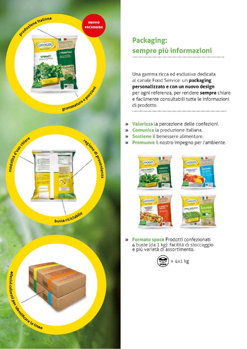 Catalogo Barpag - pagina 22